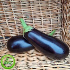 Aubergine, per stuk