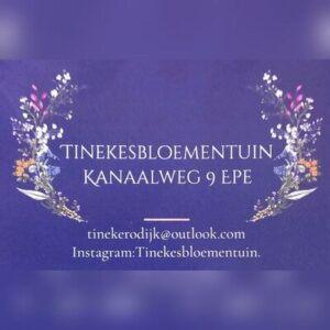 Tinekes Bloementuin